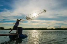 魚黑壓壓一片、不斷翻滾！長江最神秘的魚再次現身，禁漁成效顯著