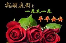 母親節小眾暖心的祝福文案