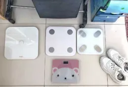 體脂秤哪個牌子好？