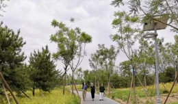 120余件套隔扇作品亮相棗莊市博物館