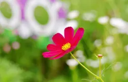 搞笑段子:這樣隨禮誰受得了！