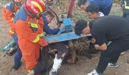 揪心！六旬老漢被刺兩刀！千萬警惕→
