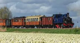 450余名旅客乘火車赴隴南賞花探古