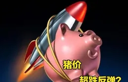 05月09日豬價：穩中伴跌！成本壓力推升出欄節奏