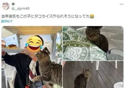 偷感很重的母親節