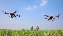 無人機翺翔麥田 科技助力現代農業