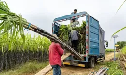 外出春遊，這種飲料千萬別嘴饞！