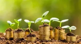 混戰谷子經濟，誰能成為中國的「萬代」