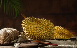 榴槤幾月份買最便宜