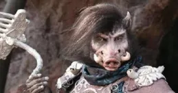 悟空小貓去世疑點重重