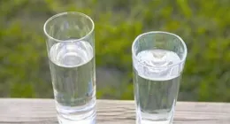 除了白水，它是對腎最好的飲品！可惜很多腎友因誤解不敢喝