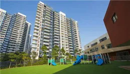 合肥市青陽路幼稚園分園頤和花園幼稚園：在遊戲與關愛中綻放成長之花