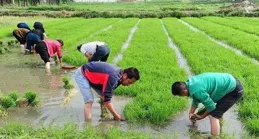 科技整合示範 農民輕松種田