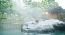 四季泡溫泉，全年吃荔枝，2025從化溫泉荔枝文化季啟動