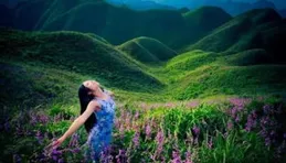 嘿重慶丨與馬鞭草共舞，感受這片山城紫霧