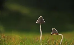 你越冷漠，別人越尊重你，你越熱情，別人越拉踩你