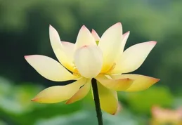 女人這樣「麻煩」你，其實就是喜歡你的意思，別不懂