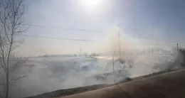 甘州區三閘鎮3萬畝糯玉米播種「進度條」拉滿