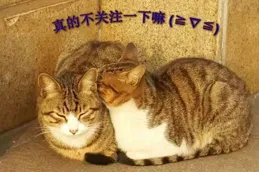 如何評價【令人心動的offer】綜藝？