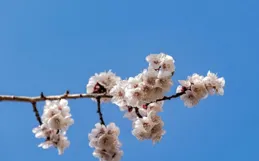 和兄弟姐妹斷交，不想再來往的人，多半是這三類