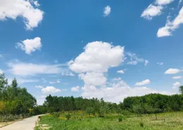 為什麽領導對小人重用客氣，對老實人百般挑剔？不過因為這一個字