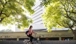 為什麽人到中年，很少有身材苗條的？