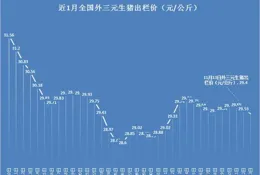 猛回頭，豬價陷入到往復下跌的迴圈之中，未來的希望在哪裏？