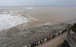 錢塘江大潮：天文地理視角下的最佳觀潮時間解密