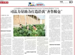 糧滿倉·好豐光丨「齊魯糧倉」豐收答卷