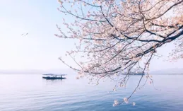 盈盈詞話續詩：炊煙異客孤村遠，落日歸鴻霞彩間。人倦歸程惜歲月