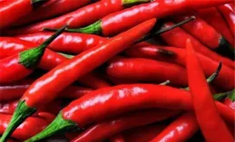 辣椒最辣的部位是籽？這是真的嗎？