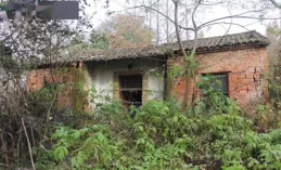 一個人強到可怕的4種超高境界！