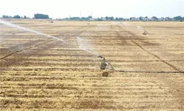 農業先進技術賦能三夏生產 夯實豐收基礎