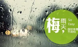 又到梅雨季，如何除濕祛濕守護健康？