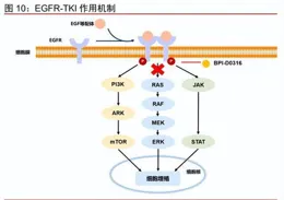 基因泰克申請利用機器學習進行生物分子適應度推斷專利，輸出針對第一生物分子的推斷的適應度分數