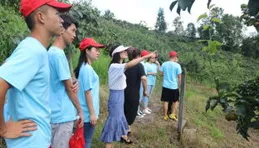 開發鄉村生活體驗不可一擁而上