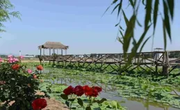 章丘區繡惠街道：麥浪滾滾喜歸倉