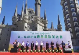 【農業行業觀察】養殖行業迎來6.0時代，產業鏈將被重構！