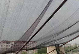 夏天最適合這樣搭配了，「不緊繃，不幼稚」，穿出隨性時髦感