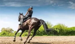 內蒙古文旅「萬馬奔騰」破圈而來