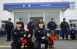 濱河派出所能否辦理身份證？全國通辦政策全解析