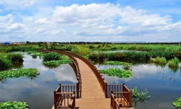 花都呈貢：緋霞映滇池，芳信越山海