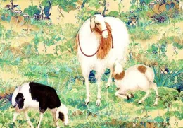 性格妥帖，受人歡迎，今年夏天日子越來越好，家庭富有的生肖