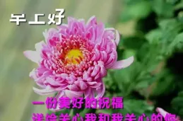 6.11早上好漂亮問候：把灰暗塗抹成明亮，對自己綻放溫暖笑意