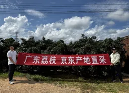 京東七鮮荔枝季新品來襲，新鮮桂味、冰釀飲品等讓夏日享涼爽鮮甜