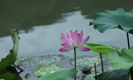 今夏第一波，開啦！