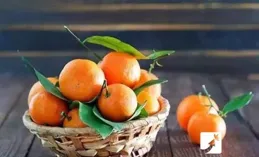 強烈建議你多聞柑橘類水果！這個好處你肯定想不到