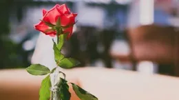 人過五十，永遠不要在熟人面前，說以下5句話，切記！