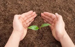 女性身體3個部位「顯大」或與長壽相關！專家：具備其一也值得關註