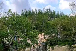 上海市區第一「高」峰，究竟值得登頂嗎？